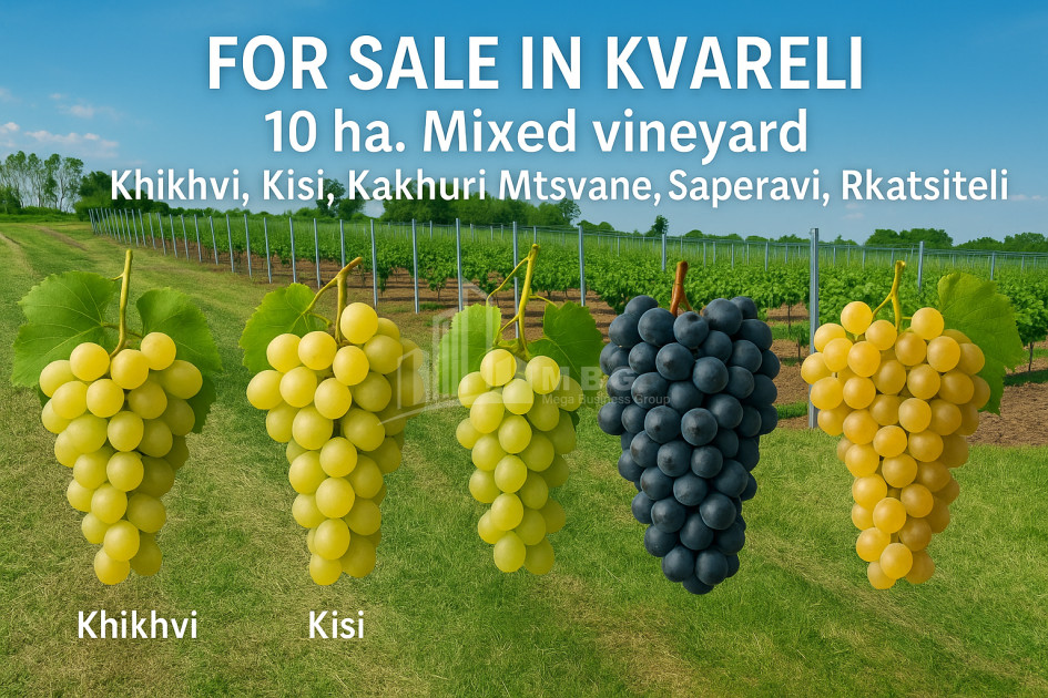 Продается Земля Кучатани Кварели Кахети