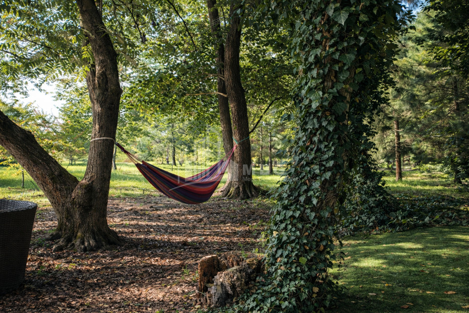 Business for sale Commercial Telavi Kakheti