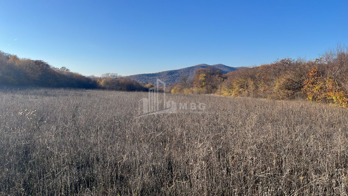 Продается Земля Базалети Душети Мцхета   Мтианети