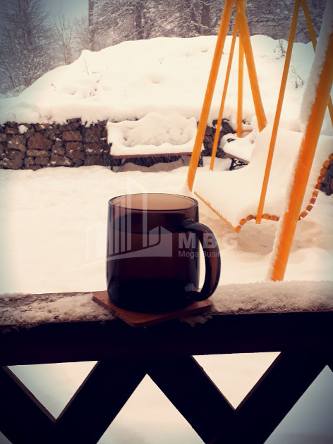 For Sale Flat, in Bakuriani