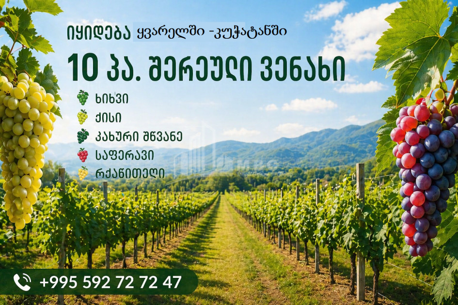 Продается Виноградник - Замковые Земля В Кучатани, Кварели