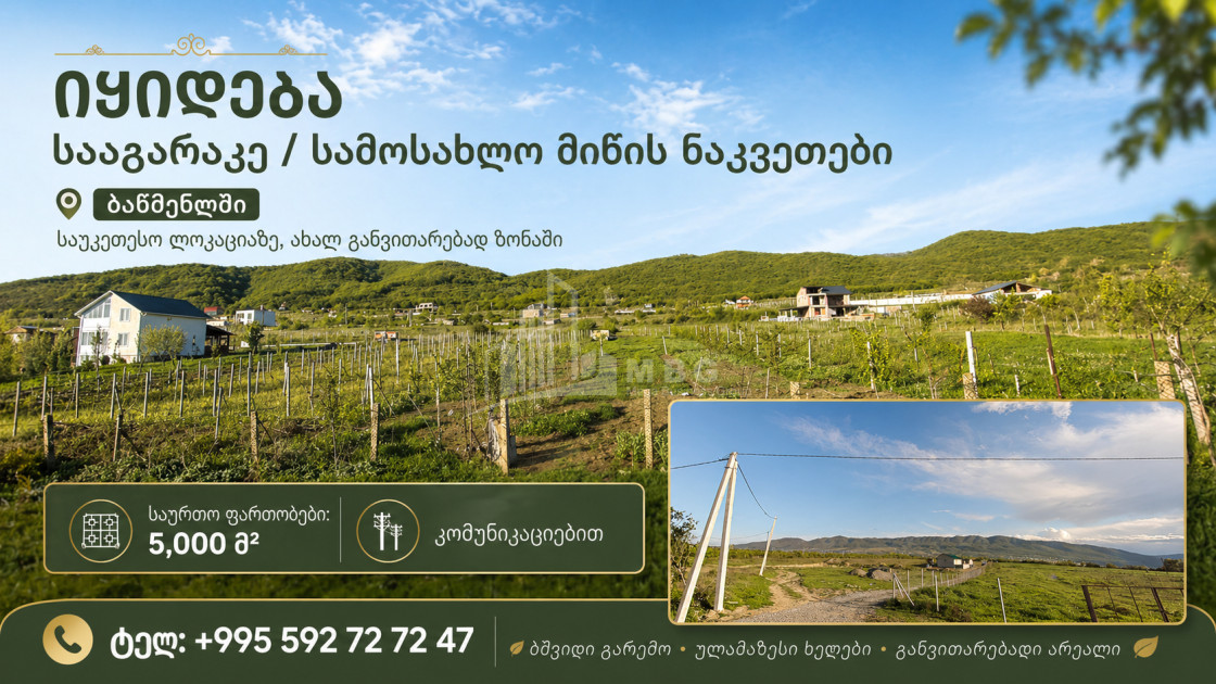 For Sale Country Land In Bitsmendi, Mtskheta