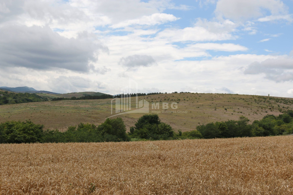For Sale Country Land, in Daba Surami