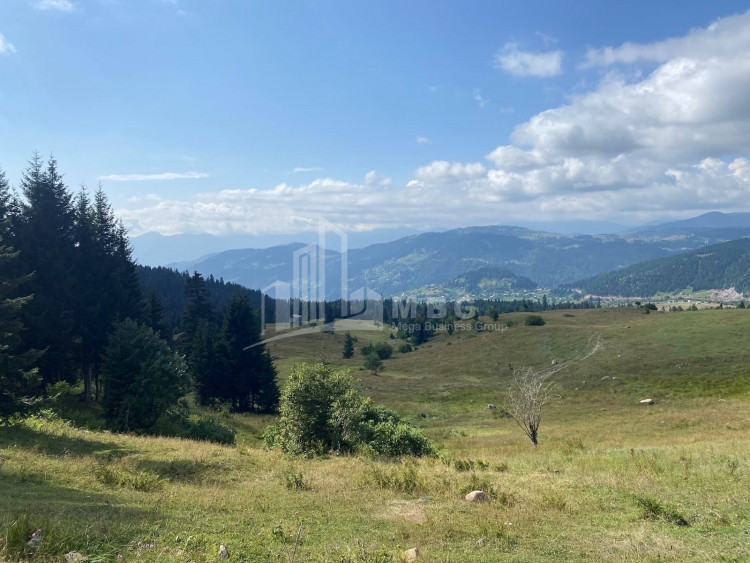 For Sale Country Land, in Dioknisi