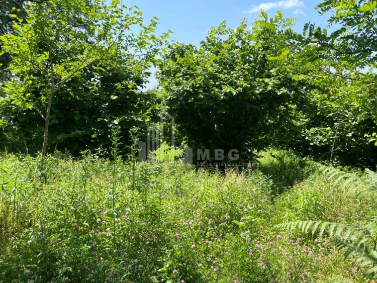 Продается Дачные Земля, в Сенакски