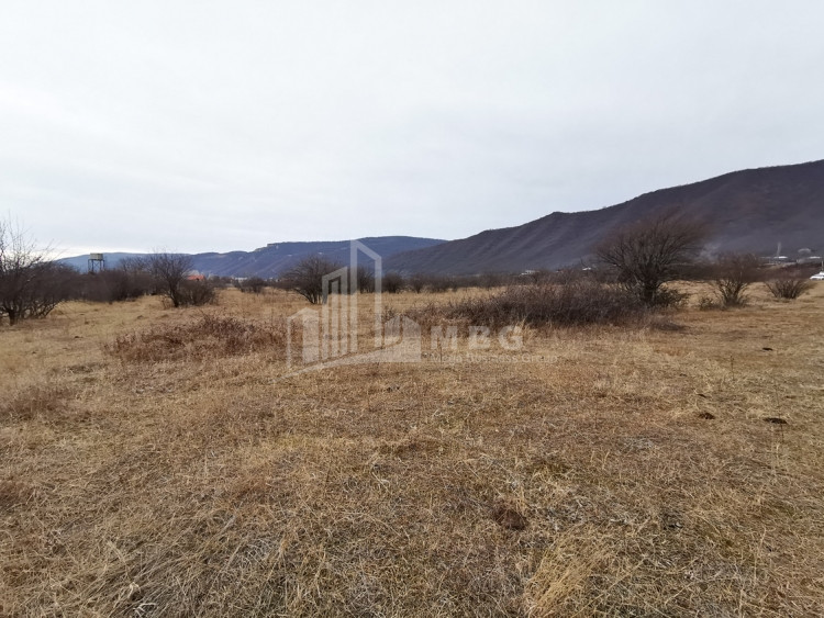 For Sale Country Land, in Aragvispiri