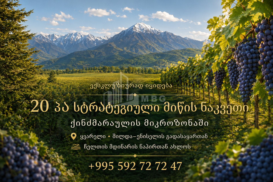 Продается Виноградник - Замковые Земля В Енисели, Кварели