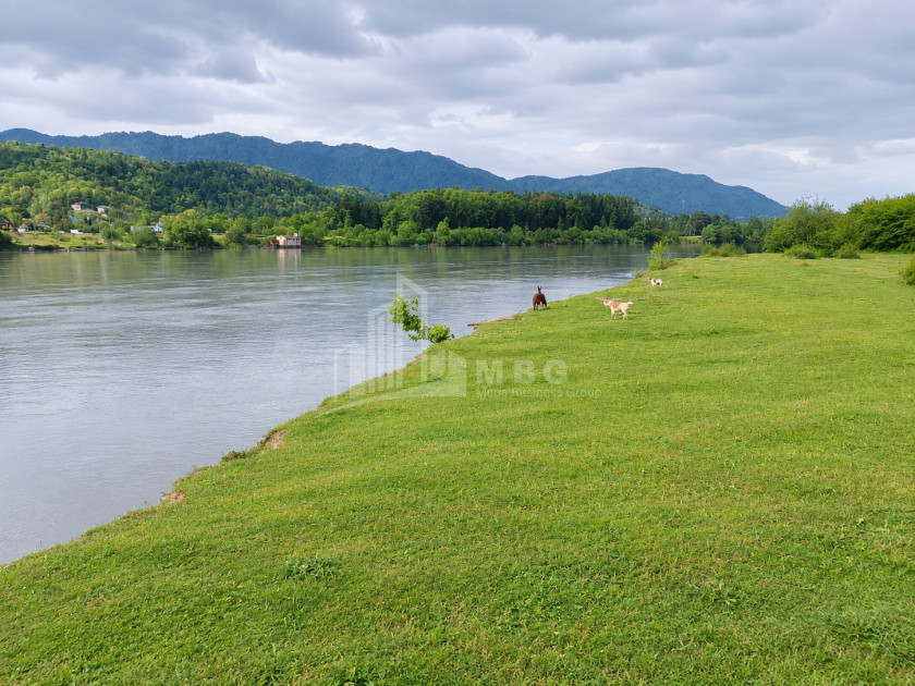 For Sale Orchards Land In Abasha