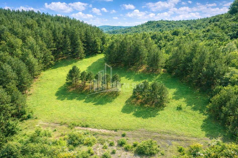 For Sale Land Daba Surami Khashuri Shida Kartli