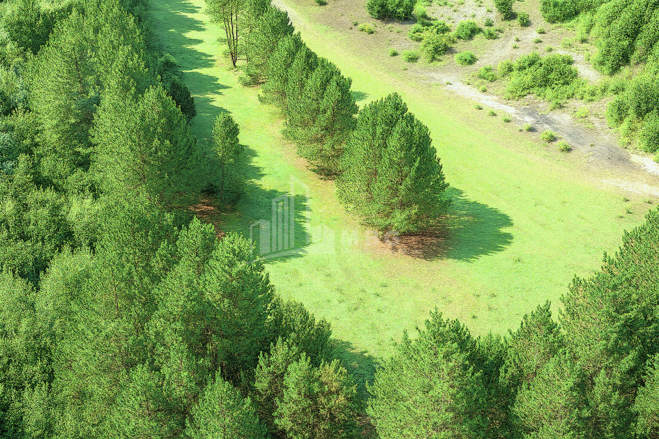 For Sale Land Daba Surami Khashuri Shida Kartli