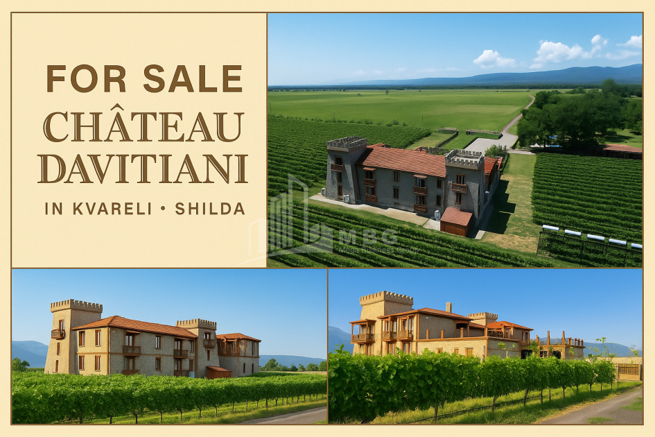 For Sale Commercial Kvareli City Kvareli Kakheti