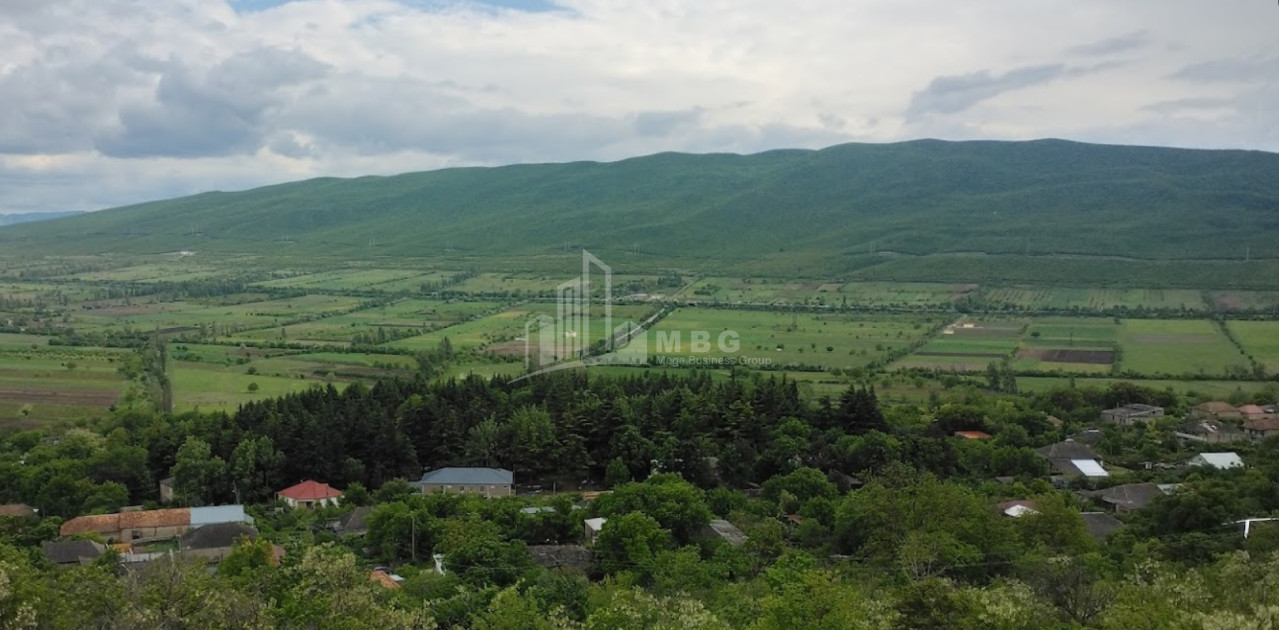 For Sale Land Okami Kaspi Shida Kartli