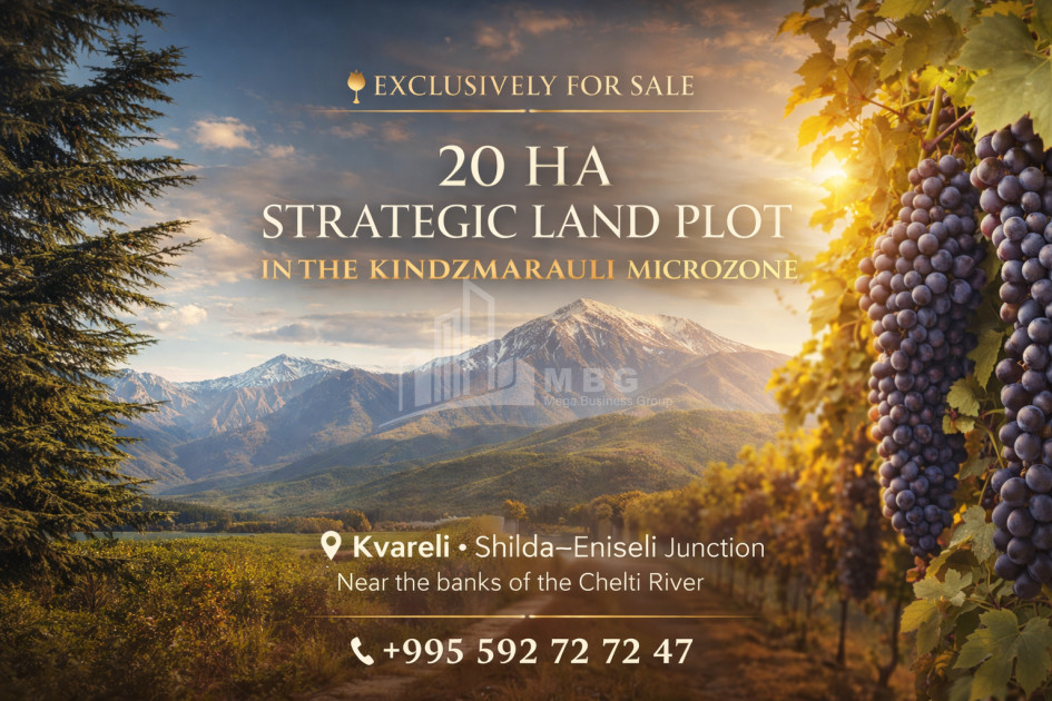 For Sale Vineyard - Chateau Land In Eniseli, Kvareli