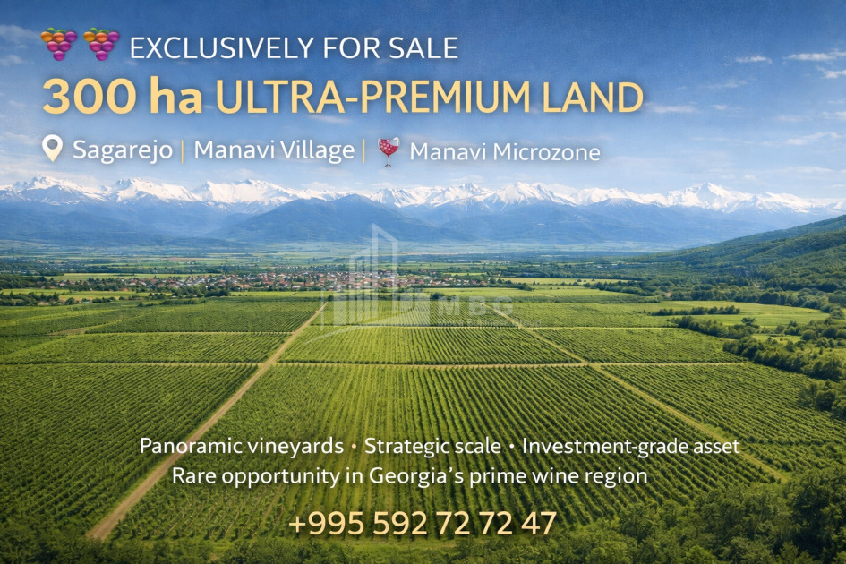 For Sale Vineyard - Chateau Land, in Manavi