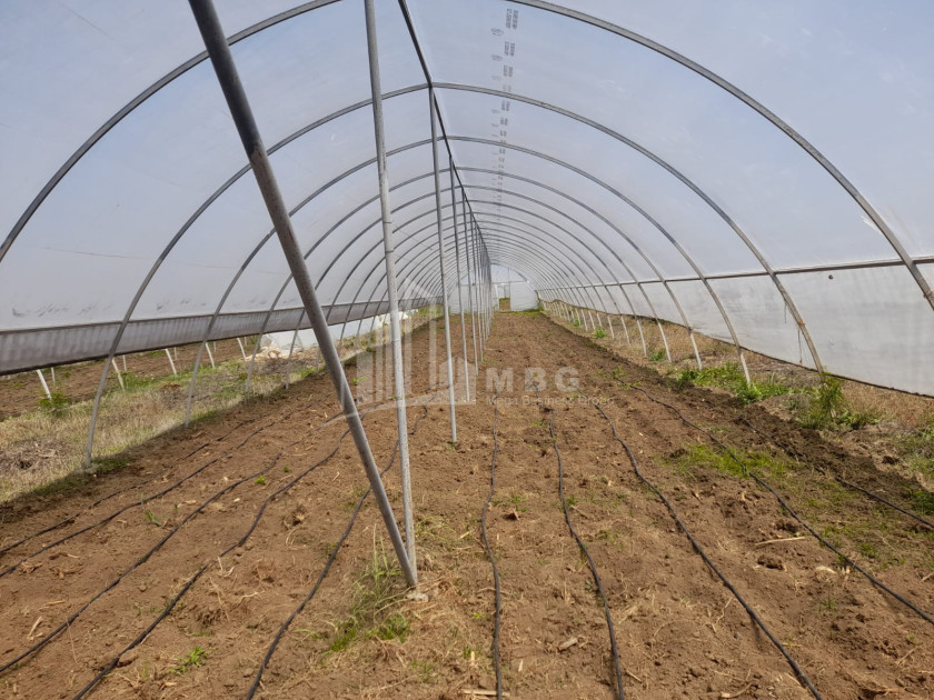 For Sale Land Vani Imereti