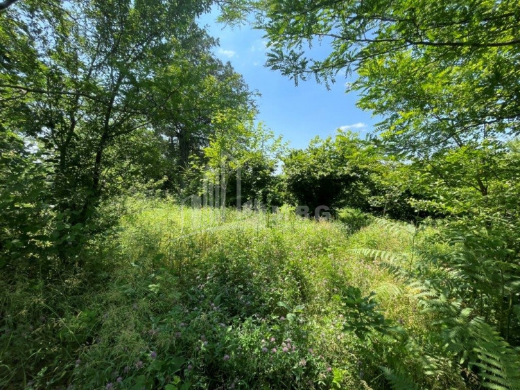 Продается Дачные Земля, в Сенакски