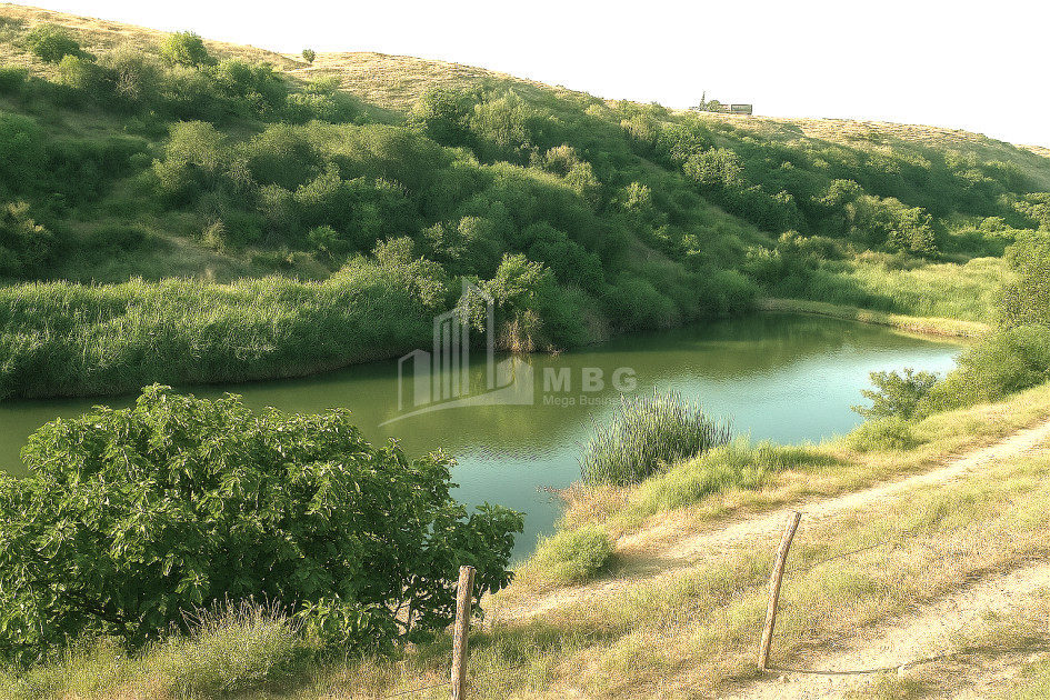იყიდება მიწის ნაკვეთი გაჩიანი გარდაბნი ქვემო ქართლი