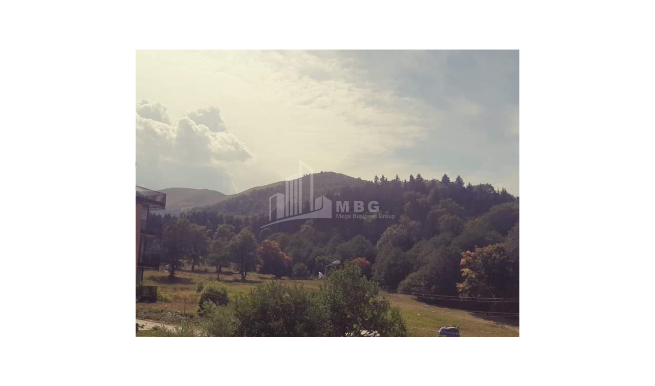 For Sale Flat, in Bakuriani