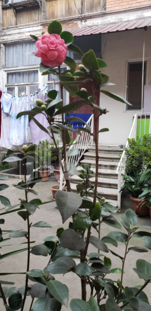 For Sale Flat, in Zemo Vera