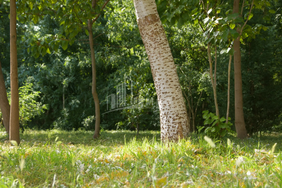 იყიდება ბიზნესი კომერციული ფართი თელავი კახეთი