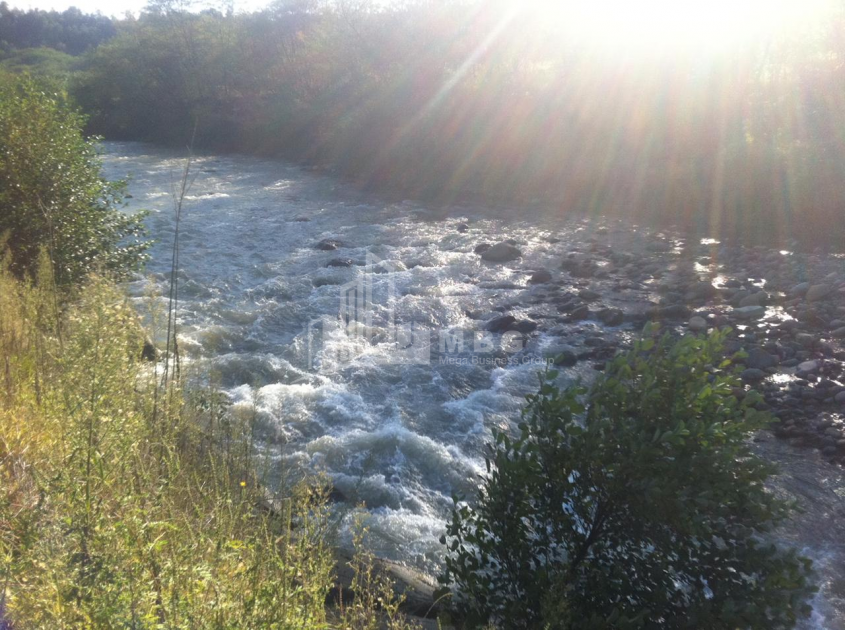 For Sale Land, Zeda Bakhvi, Ozurgeti Municipality, Municipalities of Guria