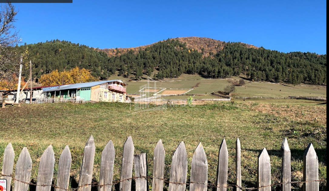 იყიდება სააგარაკე მიწის ნაკვეთი, წვირმი