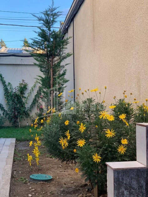 For Sale House - Villa, in Dighmis Chala