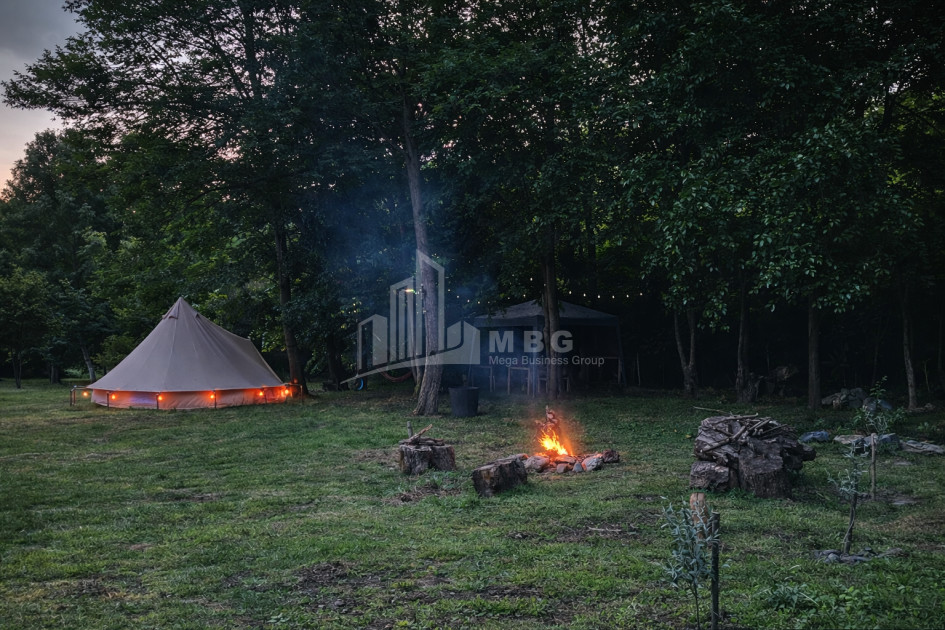 Business for sale Commercial Telavi Kakheti