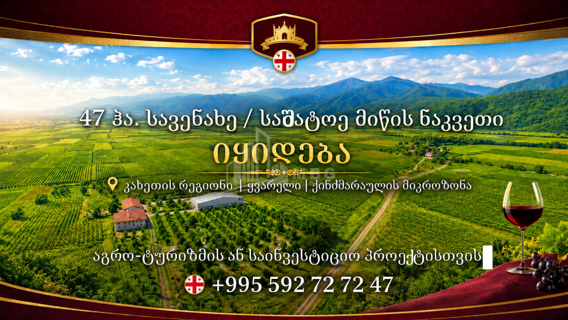 For Sale Vineyard - Chateau Land In Kvareli