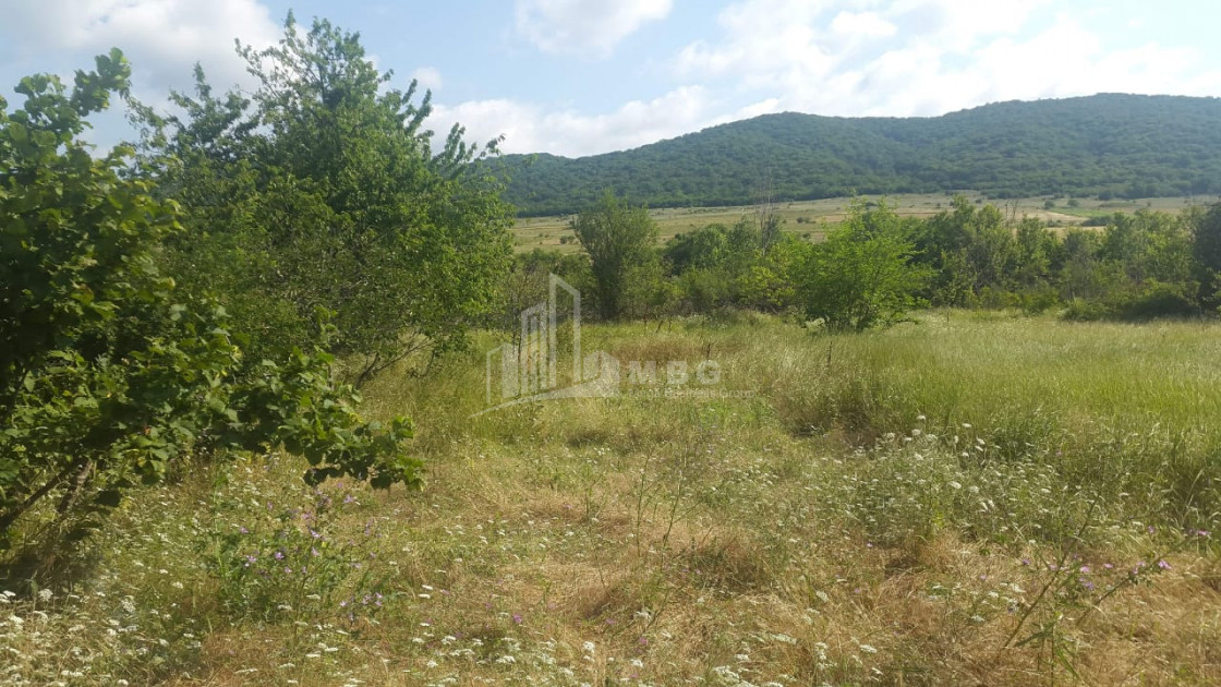 For Sale Country Land, in Tsinamdzgvriantkari