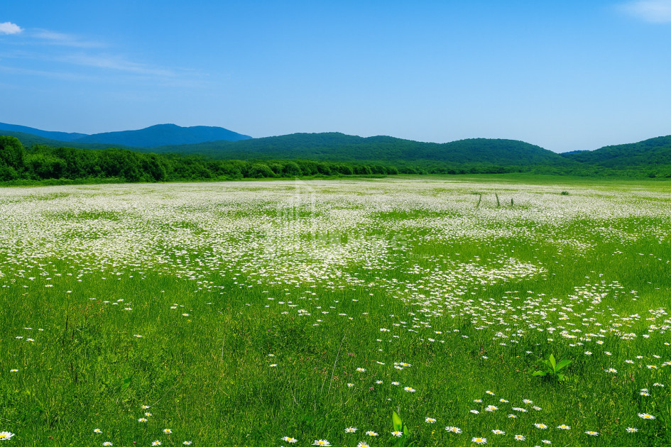 Продается Земля Гомбори Сагареджо Кахети