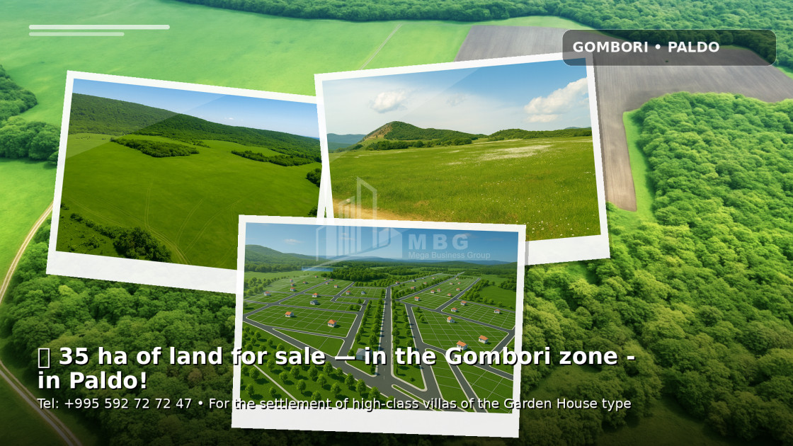 For Sale Land Gombori Sagarejo Kakheti