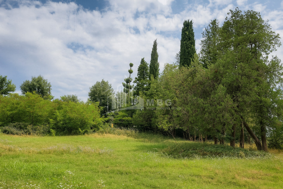 იყიდება კომერციული ფართი თელავი კახეთი