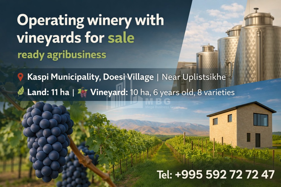 იყიდება კომერციული ფართი დოესი კასპი შიდა ქართლი