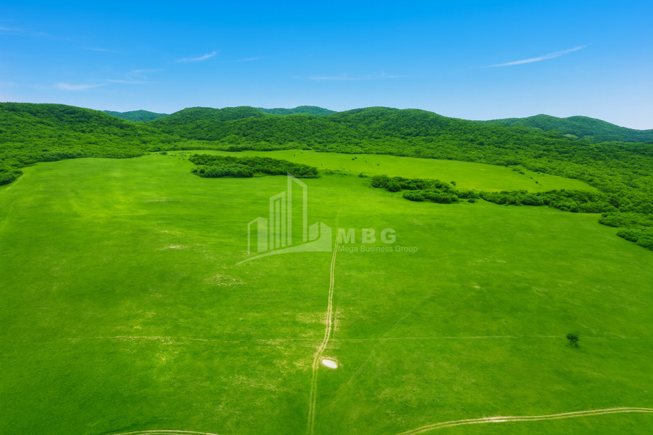 Продается Земля Гомбори Сагареджо Кахети