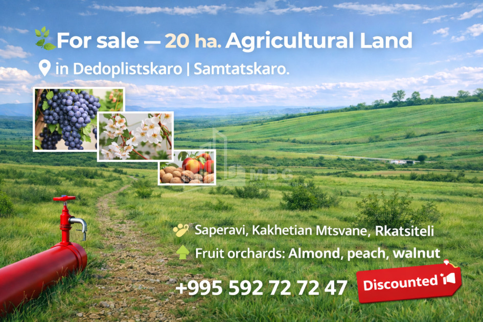 For Sale Agricultural Land In Samtatskaro, Dedoplistskaro