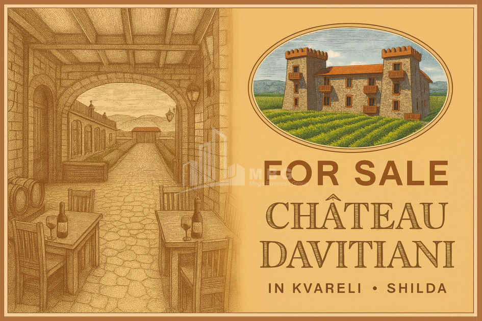 For Sale Commercial Kvareli City Kvareli Kakheti