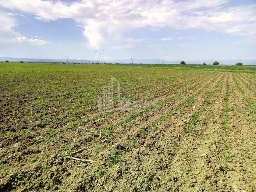 Продается Земля Марнеули Квемо Картли