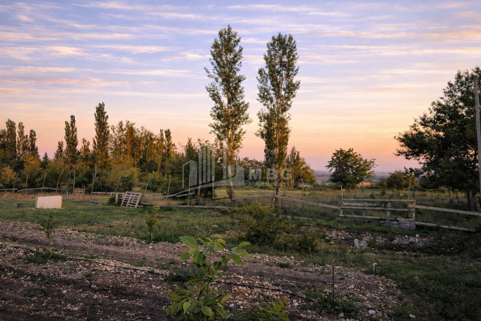 For Sale Country Land In Samgorski, Samgori District