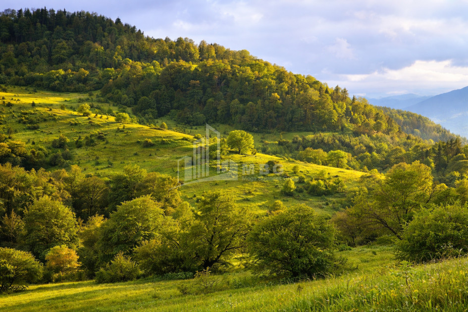 For Sale Land Zemo Gostibe Kaspi Shida Kartli