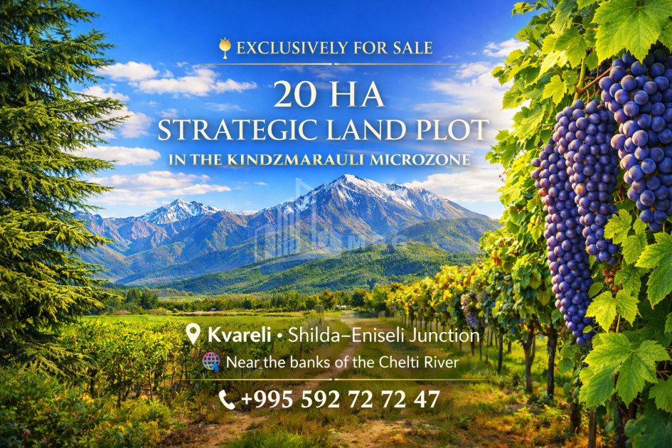 For Sale Vineyard - Chateau Land In Eniseli, Kvareli