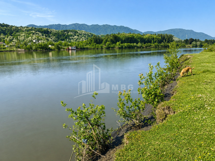 For Sale Orchards Land In Abasha