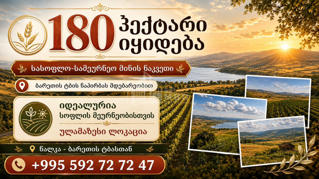 For Sale Agricultural Land In Tsalka
