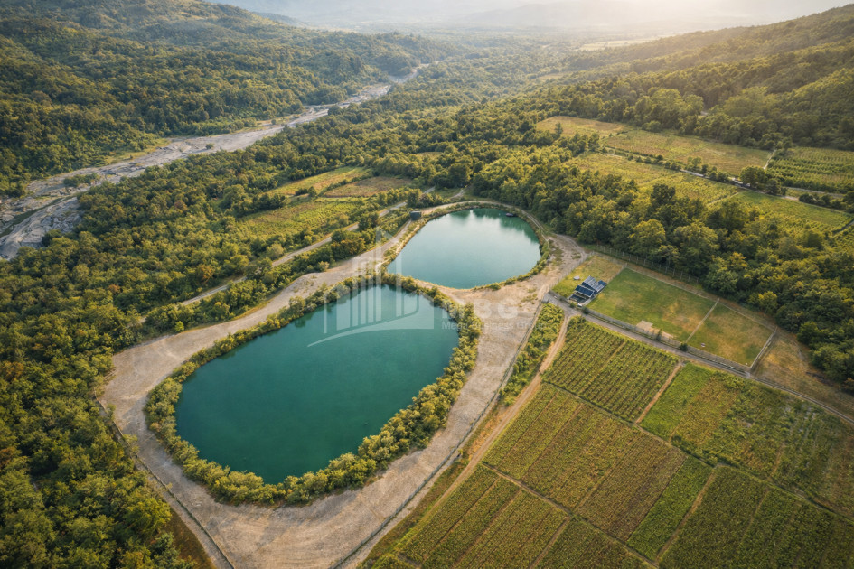 იყიდება მიწის ნაკვეთი თელავი კახეთი