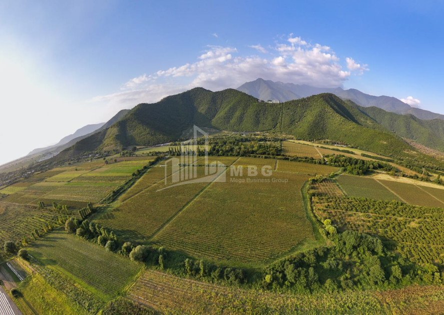 იყიდება მიწის ნაკვეთი ყვარელი კახეთი