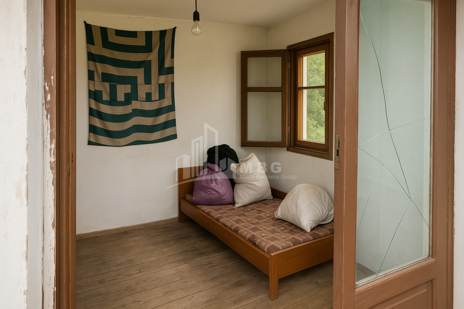 For Sale House Villa Dzegvi Mtskheta Mtskheta   Mtianeti