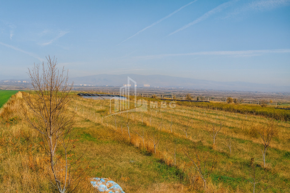 იყიდება მიწის ნაკვეთი სოფელი შაუმიანი მარნეული ქვემო ქართლი