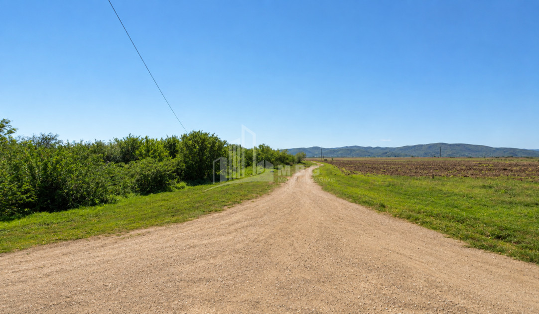 For Sale Walnut orchard Land In Anaga, Signagi
