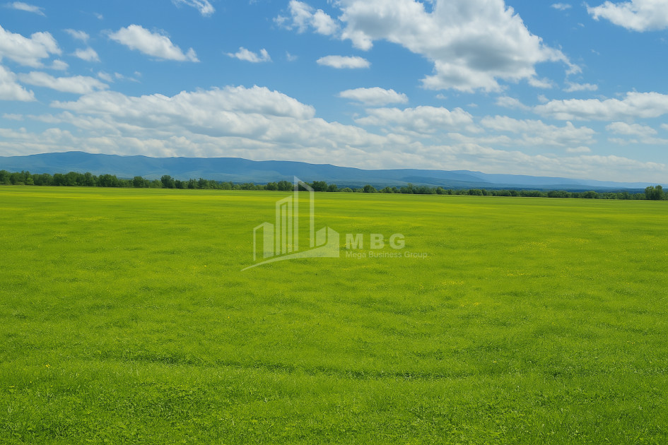 For Sale Land Vartsikhe Baghdati Imereti