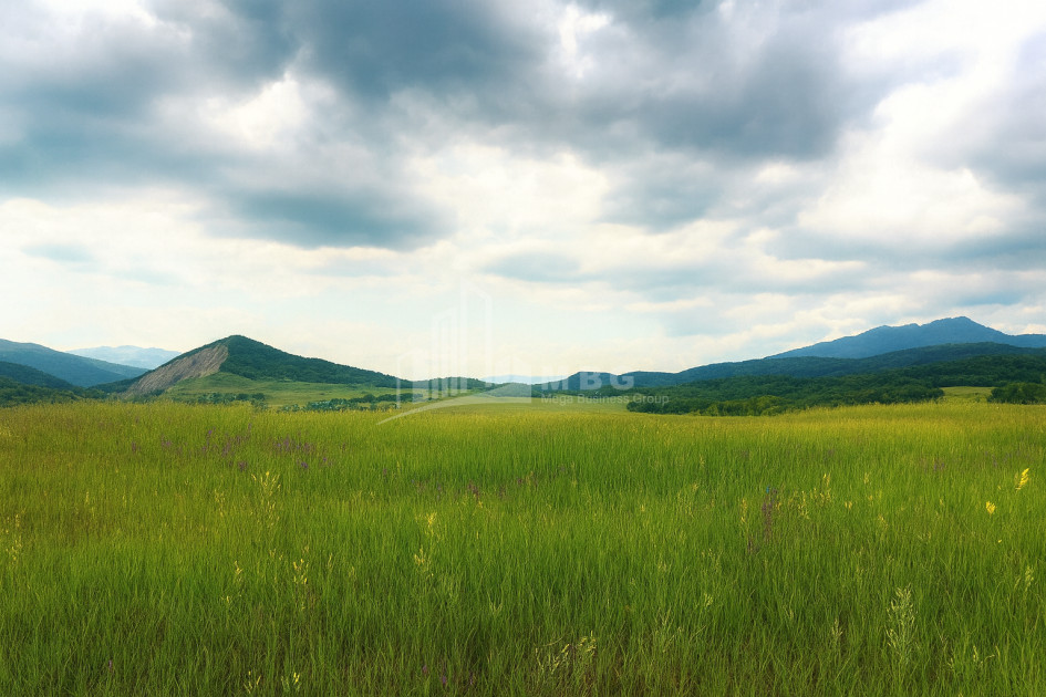 Продается Земля Гомбори Сагареджо Кахети